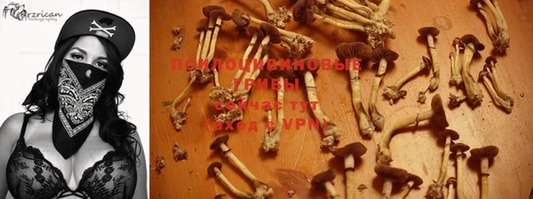 МДМА Медногорск