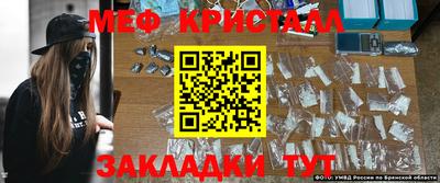 стафф Донской