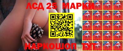 прущая мука Донецк