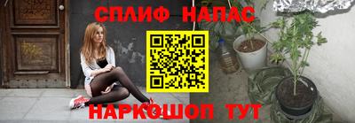 стафф Донской