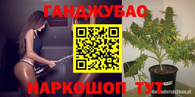 прущие грибы Апрелевка