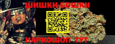 стафф Донской