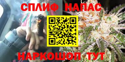 стафф Донской