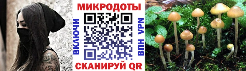 Галлюциногенные грибы MAGIC MUSHROOMS  закладки  Чернушка 