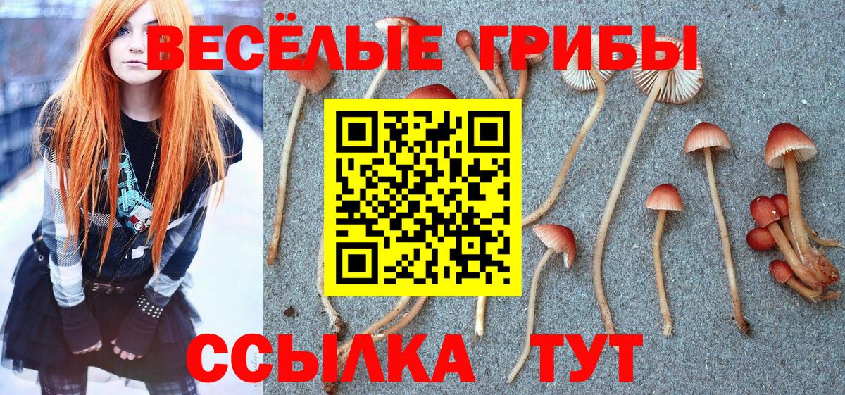 Чернушка  Галлюциногенные грибы мухоморы  Вход с VPN  дарнет шоп  Псилоцибиновые грибы GOLDEN TEACHER 