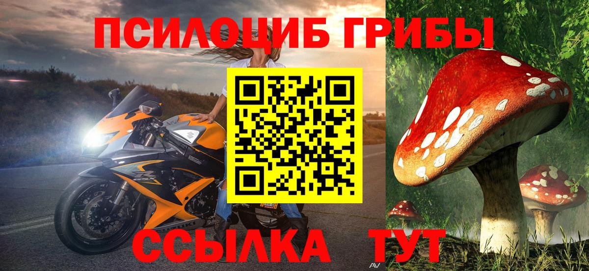 Псилоцибиновые грибы ЛСД  купить наркоту  Чернушка  Галлюциногенные грибы Cubensis 