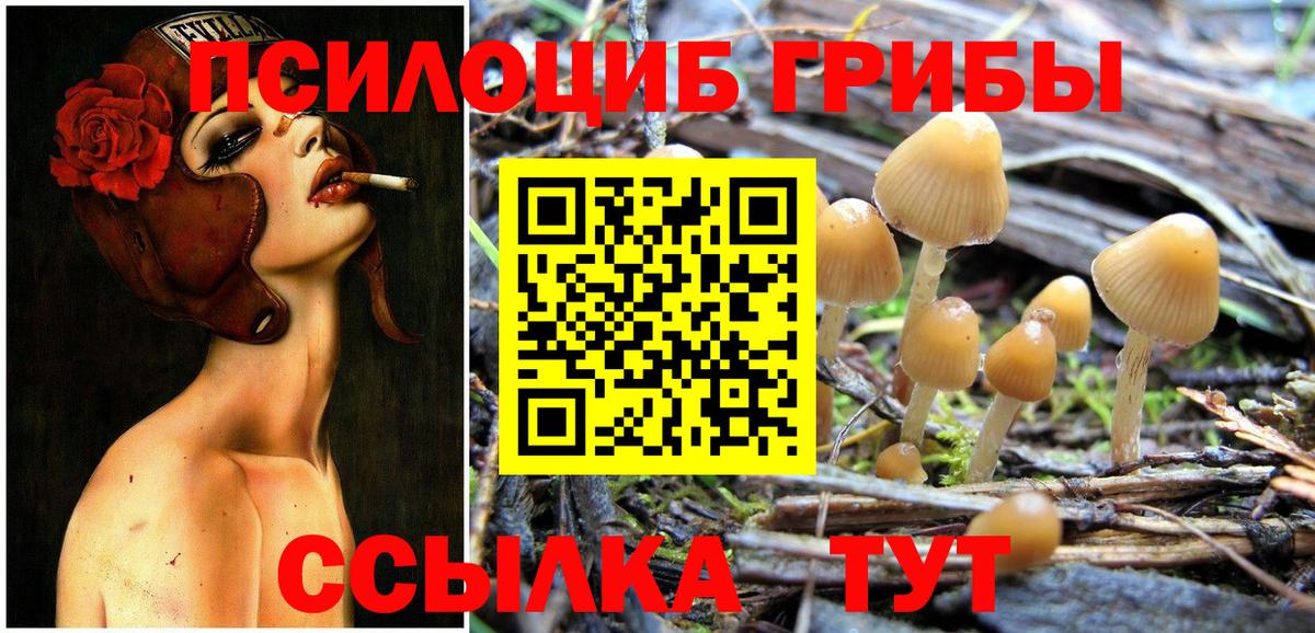 Галлюциногенные грибы MAGIC MUSHROOMS Чернушка