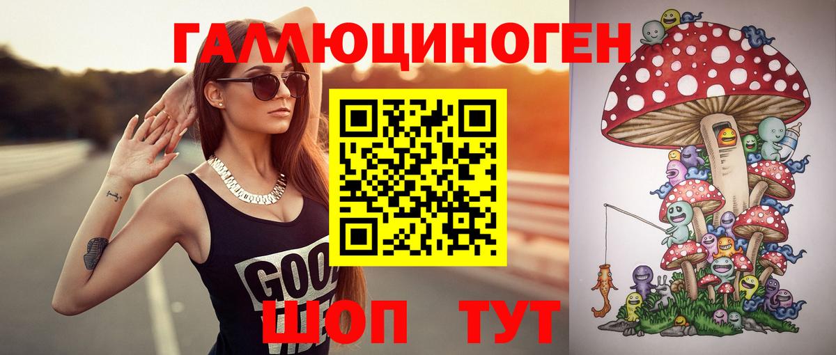 Псилоцибиновые грибы прущие грибы Чернушка