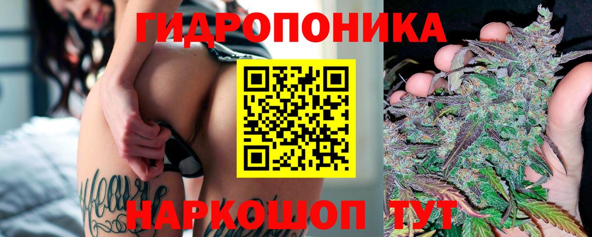 Бошки Шишки Bruce Banner  Бошки марихуана план  Шишки марихуана ГИДРОПОН  Чернушка 